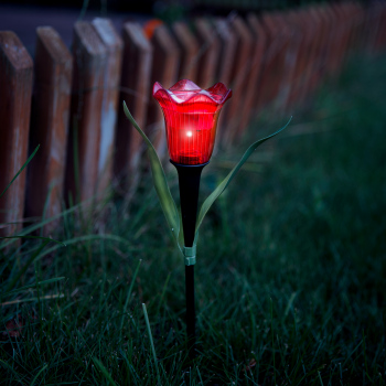 Lalea solară LED - galben / roșu / roz - 31 cm - 12 buc / afișaj