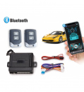 Accesorii alarme auto