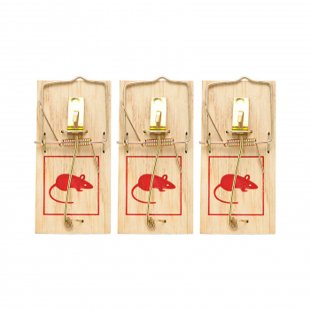 Curse / capcane de soareci