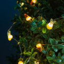 Șir de lumină LED - iepuraș și morcov - 2 m - 20 LED - 2 x AA