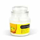 Lumânare parfumată – borcan cu capac – Ylang Ylang – 310 g
