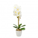 Decorațiune cu plantă artificială – Orhidee albă – 48 cm