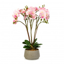 Decorațiune cu plantă artificială – Orhidee roz – 58 cm