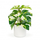 Plantă artificială decorativă - Filodendron verde/galben - 20 x 8 cm