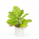 Plantă artificială decorativă - Monstera - 22 x 8,5 cm