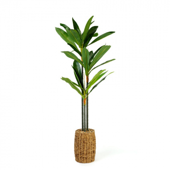 Plantă decorativă artificială Dracaena Fragrans – 1,1–1,2 m, verde
