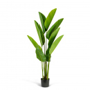 Plantă decorativă artificială bananier – 1,6 m, verde