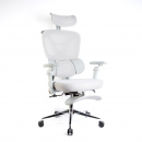 Scaun de birou ergonomic cu brațe reglabile, tetieră și suport pentru picioare, gri