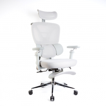 Scaun de birou ergonomic cu brațe reglabile, tetieră și suport pentru picioare, gri