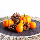 Set decorațiuni de toamnă – dovleci și conuri de pin, 9 piese, 5–7 cm