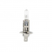 Bec halogen H1, 55W, +30% intensitate - CARGUARD