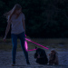 Lesă LED cu baterie - 120 x 2,5 cm - roz