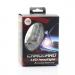 LED H11 - CARGUARD