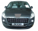 Tava portbagaj Basic Peugeot 3008 (1), 2009-2016, (LOW)