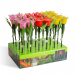 Lalea solară LED - galben / roșu / roz - 31 cm - 12 buc / afișaj
