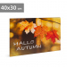 Tablou LED - "Hello Autumn" - 2 x AA, 40 x 30 cm