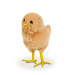 Decor de Paște - pui - 3 tipuri - 11 x 7 x 6 cm