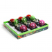 Lampă solară - broască testoasa, albină, melc, buburuză - 10 x 6 x 14 cm - LED alb