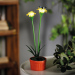Floare colorată solară - 8 x 8 x 32 cm - 10 LED-uri alb cald - galben
