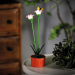 Floare colorată solară - 8 x 8 x 32 cm - 10 LED-uri alb cald - violet