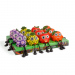 Fructe solare cu picioare - 4 tipuri - 2 LED-uri albe - 8 x 17 cm
