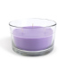 Lumânare parfumată – Liliac de primăvară – 350 g