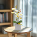 Decoratiune cu plantă artificială – orhidee – 3 modele – 37 cm