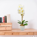 Decorațiune cu plantă artificială – Orhidee albă – 48 cm