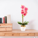 Decorațiune cu plantă artificială – Orhidee roz – 48 cm