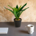 Plantă artificială decorativă - Copac de șofran verde - 20 x 8,5 cm