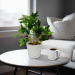 Plantă artificială decorativă - Iederă - 20 x 9 cm