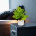 Plantă artificială decorativă - Monstera - 22 x 8,5 cm