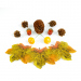 Decorațiune de toamnă – set frunze, conuri de brad și dovleci – 4 modele