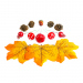 Decorațiune de toamnă – set frunze, conuri de brad și dovleci – 4 modele