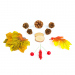 Decorațiune de toamnă – set frunze, conuri de brad și dovleci – 4 modele