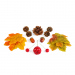 Decorațiune de toamnă – set frunze, conuri de brad și dovleci – 4 modele
