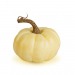 Decorațiune de toamnă – dovleci decorativi – 6 modele – plastic